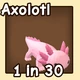 Axolotl in the Ride A Pet community reference catalogue
