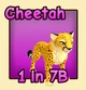 Cheetah in the Ride A Pet community reference catalogue