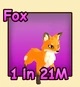 Fox pet reference card